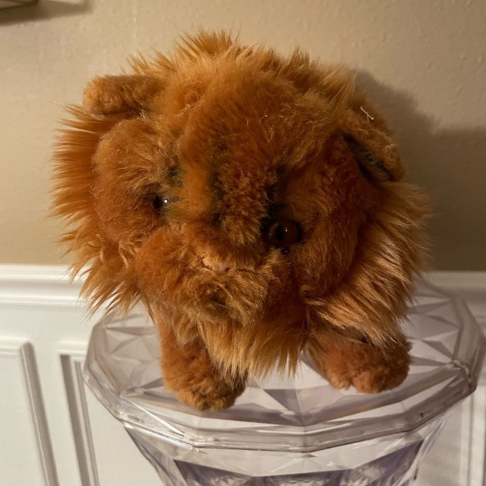 Wizard World Harry Potter Crookshanks 2016 Cat Half Kneazle!